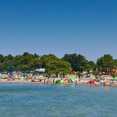 Violetta-punta * Umag