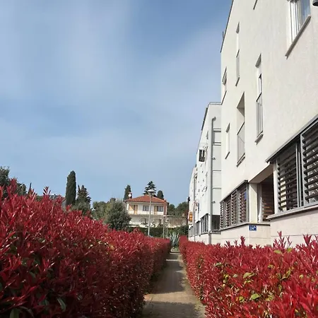 Violetta-punta Apartmán Umag