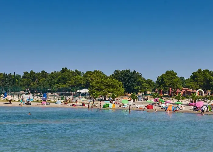 Violetta-punta * 우마그